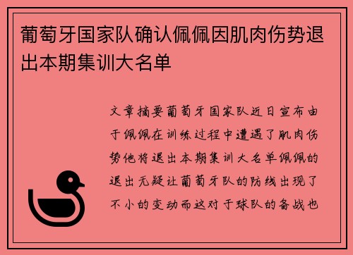 葡萄牙国家队确认佩佩因肌肉伤势退出本期集训大名单